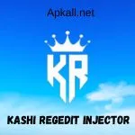 Kashi Regedit Injector